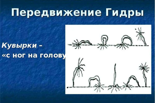 Кракен зеркало рабочее на сегодня krakenat2krnkrnk com