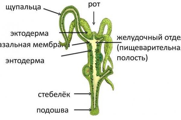 Кракен что можно купить